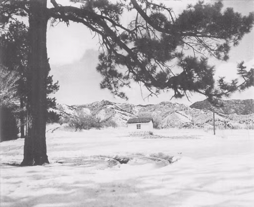 John Alton's 'Painting with Light' (1949)